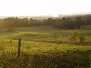 Pasture in the Green Mountain State